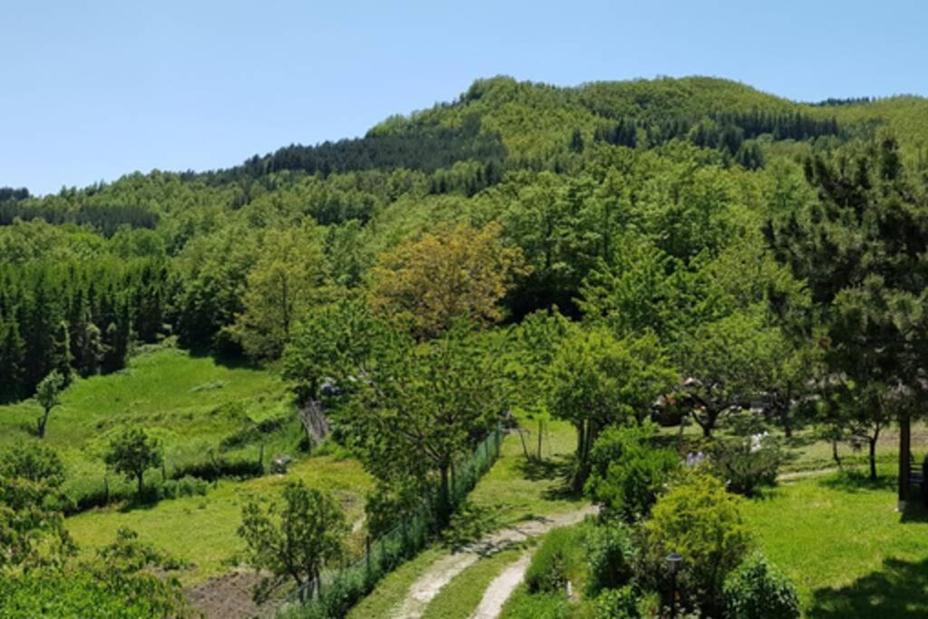 La Sala Vecchia - Lovely Tuscan Holiday House Badia Prataglia, Casentino Valley Chiusi della Verna Eksteriør bilde