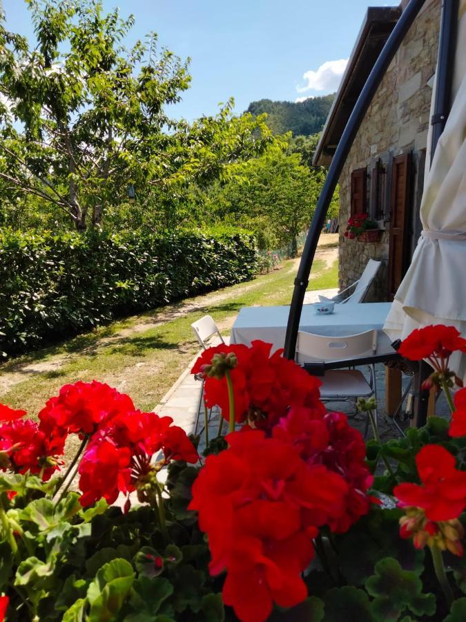 La Sala Vecchia - Lovely Tuscan Holiday House Badia Prataglia, Casentino Valley Chiusi della Verna Eksteriør bilde